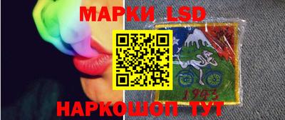 индика Ставрополь