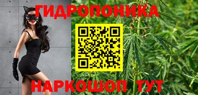 индика Ставрополь