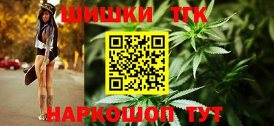 индика Ставрополь
