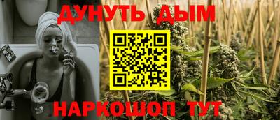 индика Ставрополь