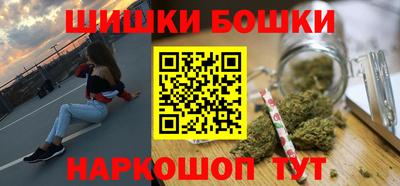индика Ставрополь