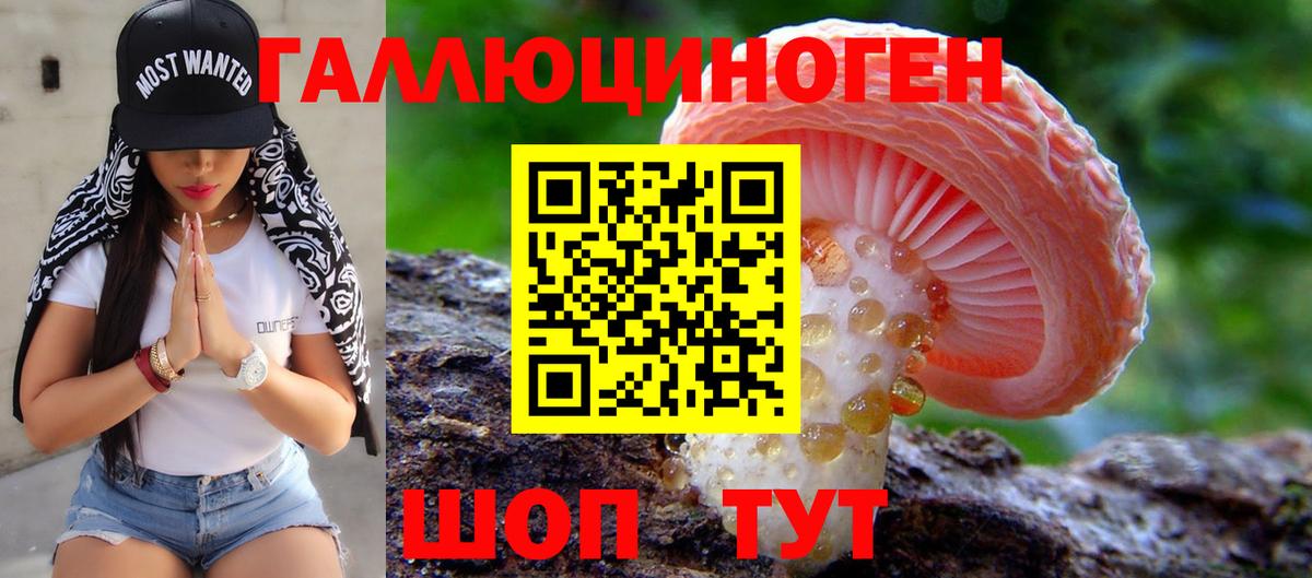 Псилоцибиновые грибы Cubensis  Вход с VPN  Ртищево 